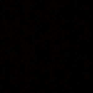 Meet your Posher, Shanton